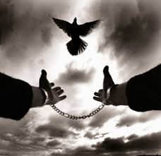 Az újjászületésről…