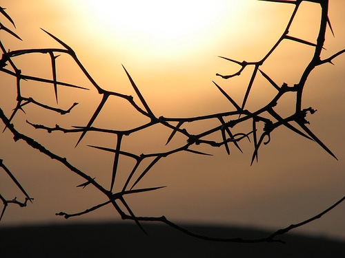 Oswald Chambers: helyes viszonyulás az&nbsp;emberekhez